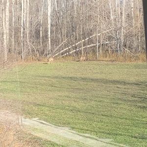 Meet your Posher, Caleb